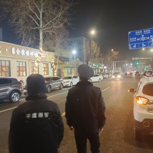 同和中隊:靜夜守護，噪音污染夜間執(zhí)法行動