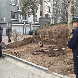 平度市東閣街道執(zhí)法中隊(duì)整治占綠毀綠，筑牢城市生態(tài)屏障