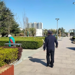 同和中隊(duì):執(zhí)法巡查筑防線，園林綠化綻新顏