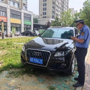 守護(hù)城市公共綠地 鳳臺(tái)執(zhí)法中隊(duì)整治占綠停車現(xiàn)象