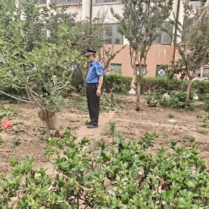平度市東閣街道執(zhí)法中隊“信用+”整治占綠毀綠，守護公共綠地 ...