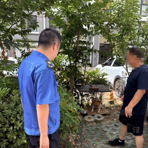 平度市東閣街道執(zhí)法中隊(duì)推進(jìn)文明養(yǎng)犬，共筑和諧宜居城市