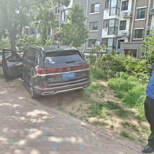 平度市東閣街道執(zhí)法中隊(duì)整治占綠毀綠亂象，維護(hù)公共利益