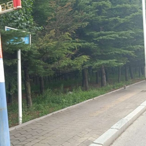 同和中隊：清除城市“牛皮癬”，小廣告執(zhí)法巡查記