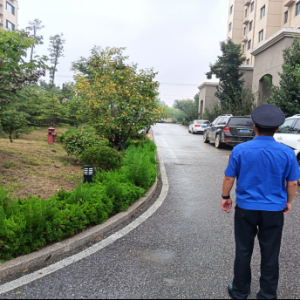 清理占綠狗籠，保障居民公共利益